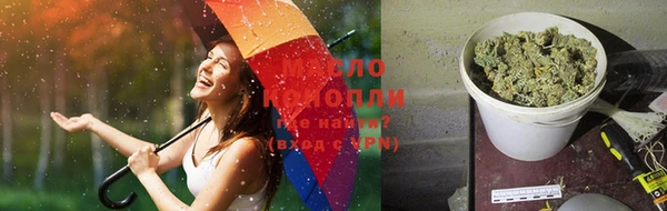 индика Богородицк