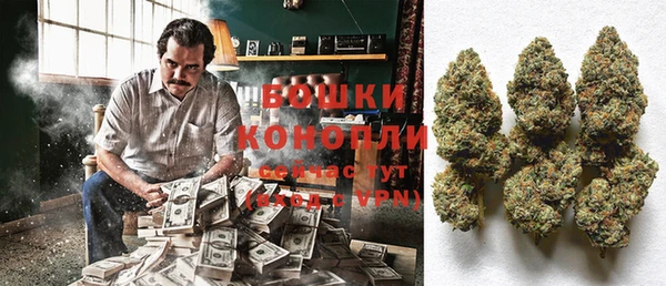 амф Бородино