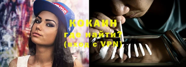 индика Богородицк