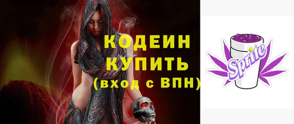 амф Бородино