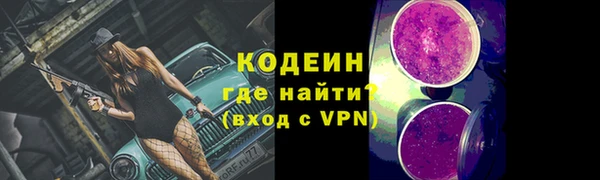 амф Бородино