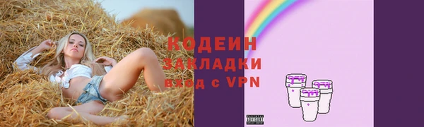 амф Бородино