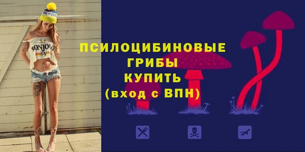 индика Богородицк