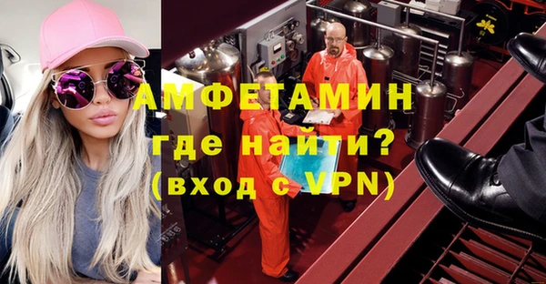 индика Богородицк