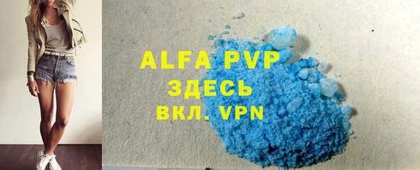 амф Бородино