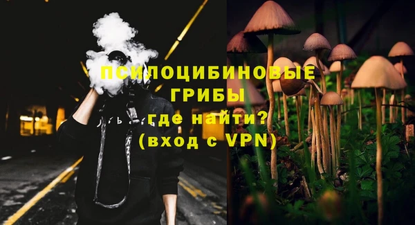 ГАЛЛЮЦИНОГЕННЫЕ ГРИБЫ Бронницы