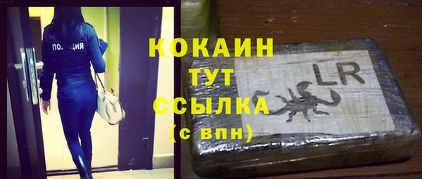 амф Бородино